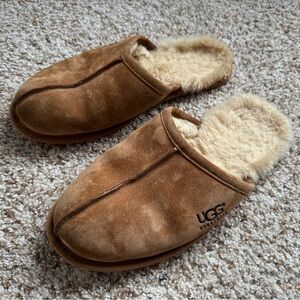 Men Ugg Slippers